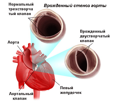 546648468648648