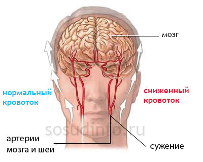 54668486468486