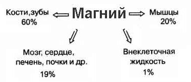 54684486468