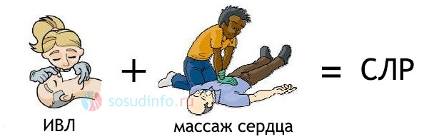 5468448684648