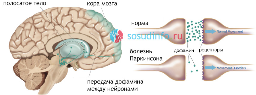 54684648648486