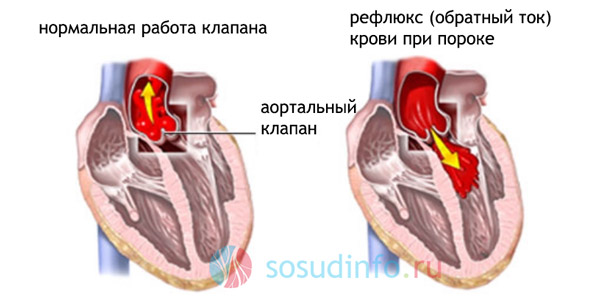 5468468