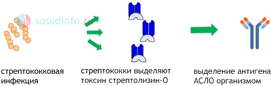 54684684648
