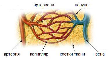 546846848