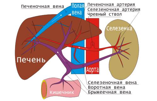 5468468846
