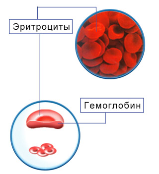 546846888