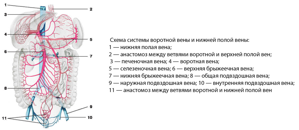 546848486