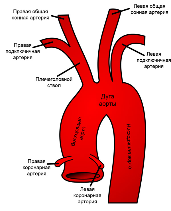 546848486