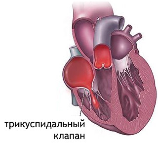 5468486