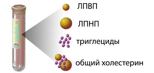 54684864