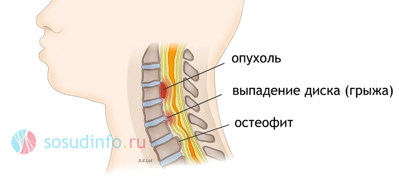 5468486468