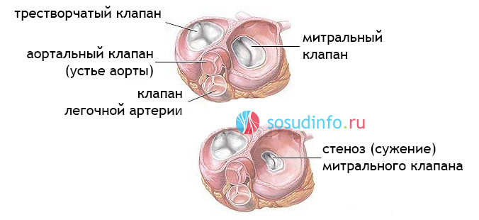 5468486486486