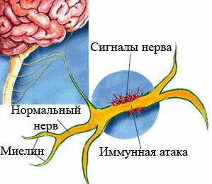 546848668