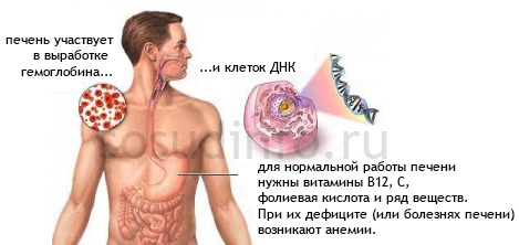 5468684