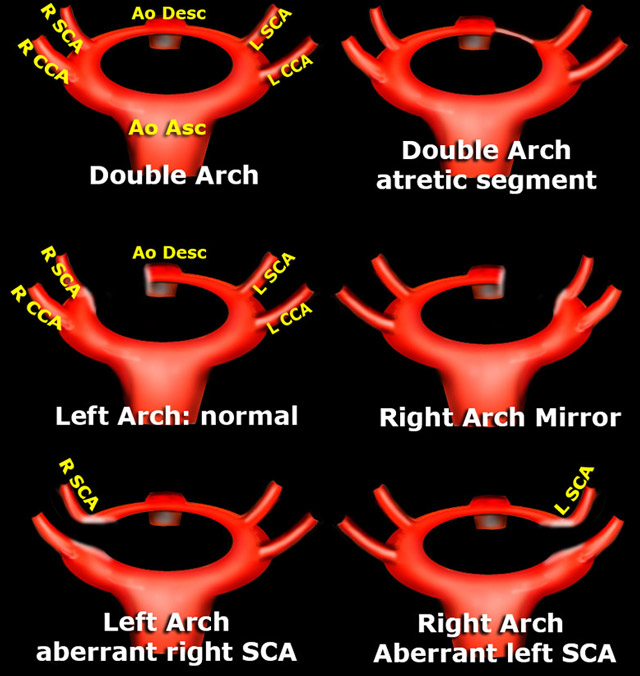 546884