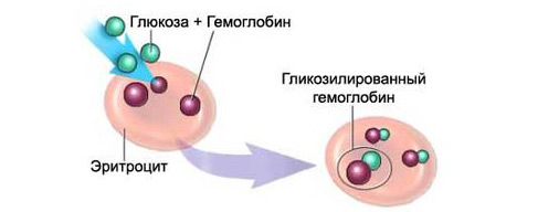 54688446868