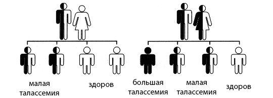 546884486