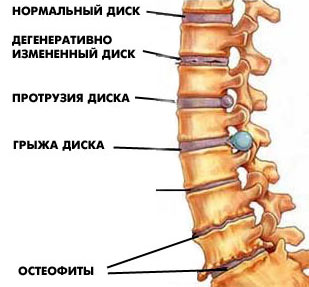 546884486486