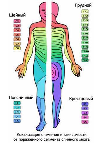 5468846468486