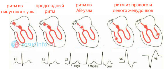 546884646864