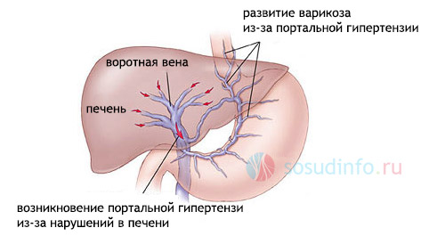5468846486468486