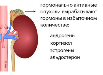 5468846486486