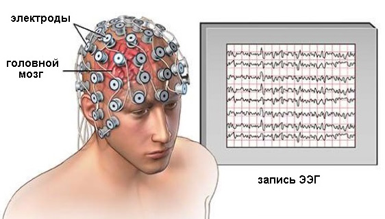 54688646486