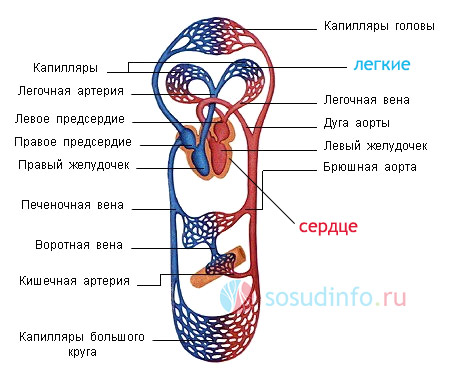 54688846468468