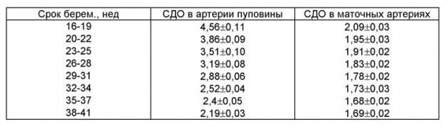 564868846486648