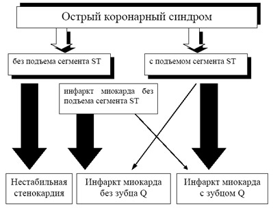 65464648468