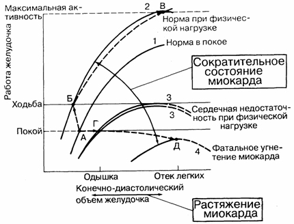 8644864486