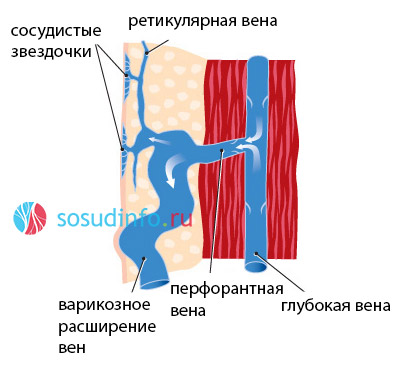 89458309458934859834989