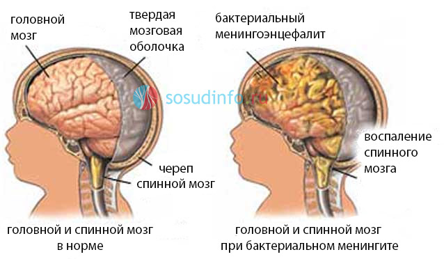 89648596495684589
